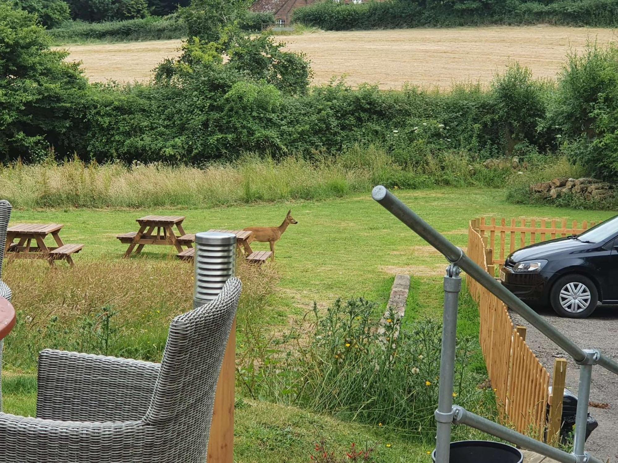 The Carpenters Arms Hotell Newbury  Exteriör bild